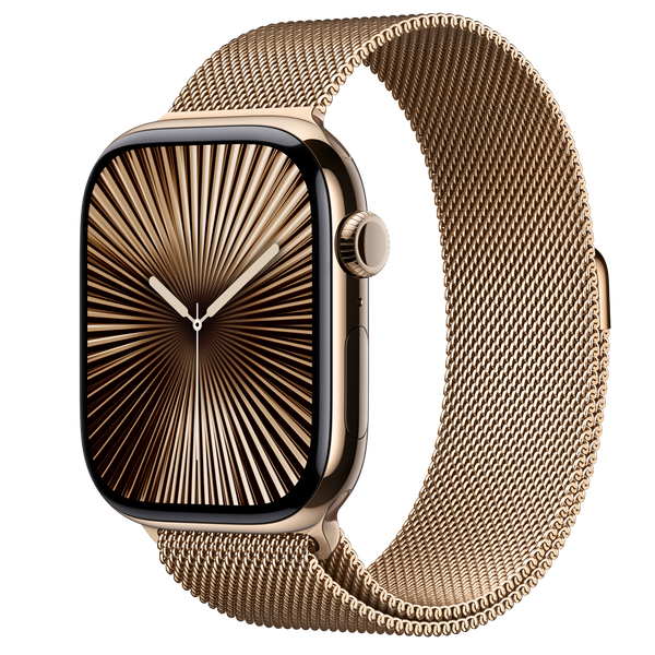 Часы Apple Watch Series 10 Stainless Steel Case with Titanium Milanese Loop